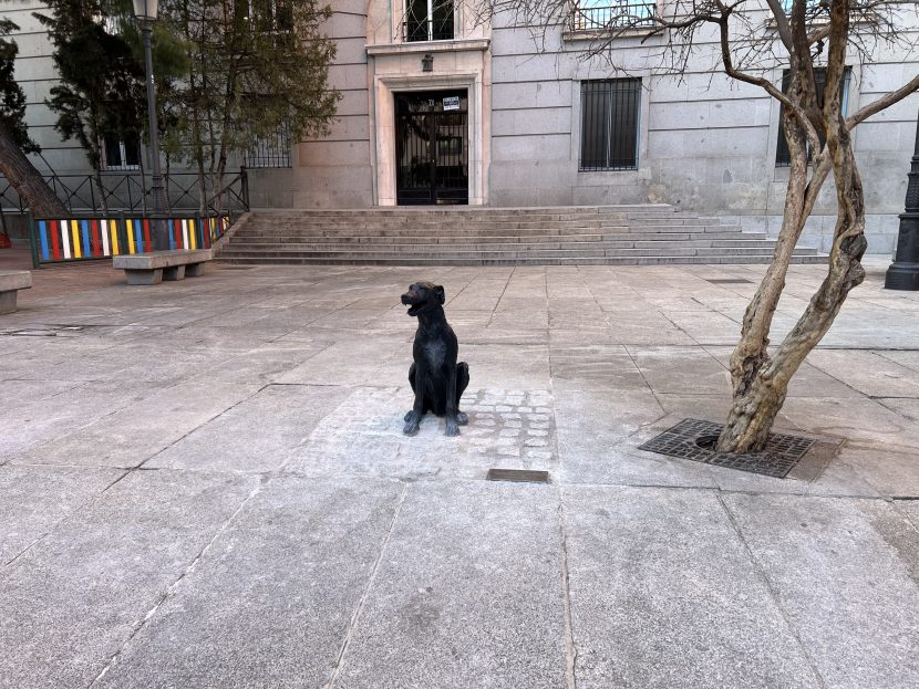 Perro Paco: el perro más famoso de Madrid