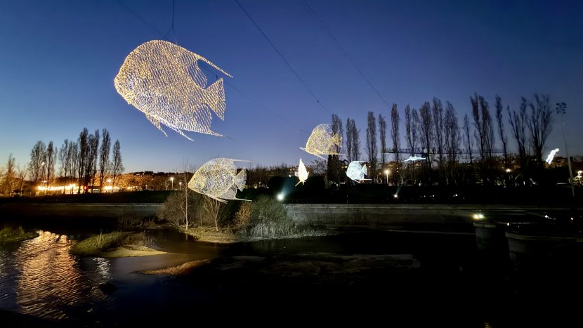 LUZMADRID 2026-NADAR LA NOCHE-FOTO ORIGINAL madrid4u