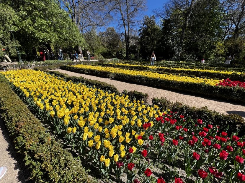 Tulipanes en Madrid 2026-Tulipanes en el Jardín Botánico de Madrid-Foto original madrid4u