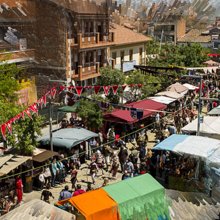 Feria Medieval del Alamo