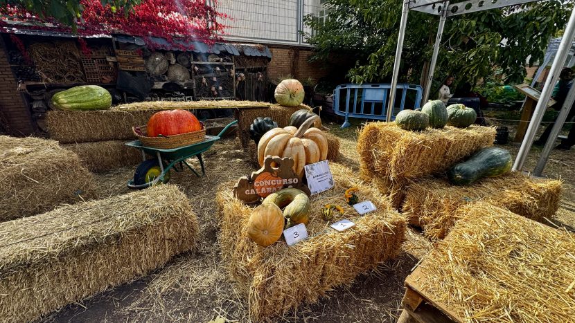 Fiesta de la Calabaza en El Retiro 2026: fecha, actividades y concurso
